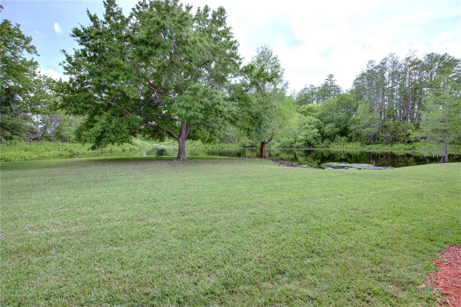 4917 WALDEN CIR, ORLANDO, FL, 32811