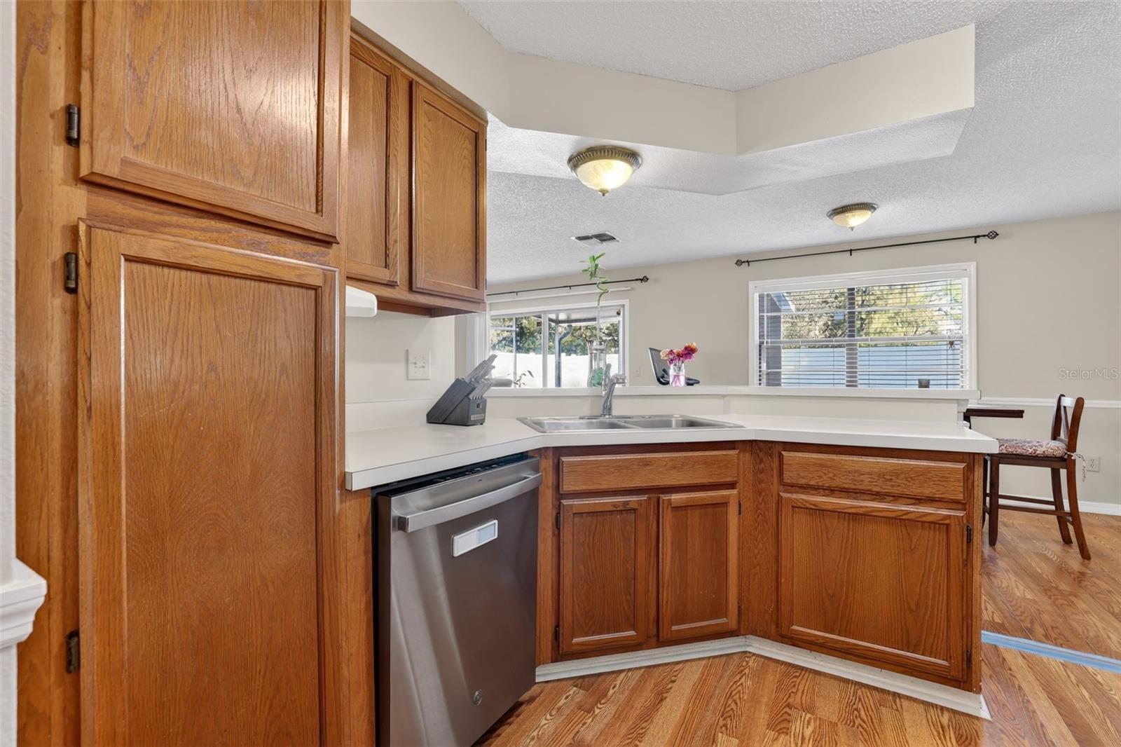5215 CORVETTE DR, TAMPA, FL, 33624