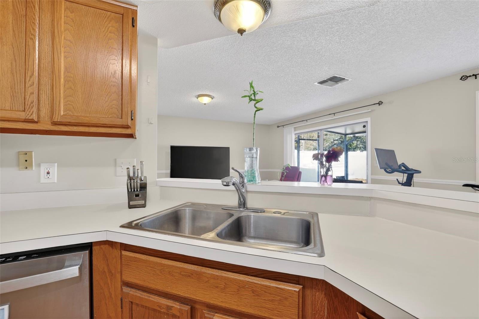 5215 CORVETTE DR, TAMPA, FL, 33624