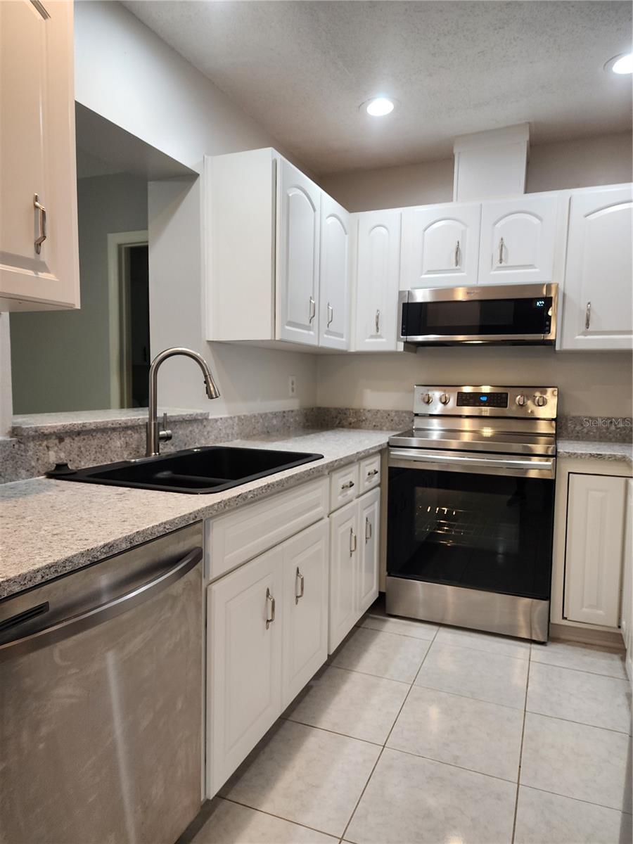 1102 HALTON CT #1102, SUN CITY CENTER, FL, 33573