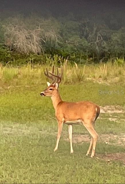14020 SE 106TH ST, OCKLAWAHA, FL, 32179