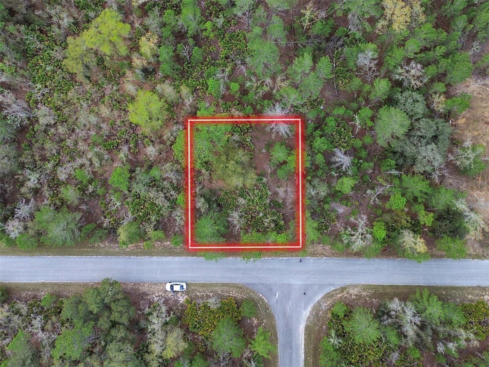 TBD MALAUKA LANE, OCKLAWAHA, FL, 32179