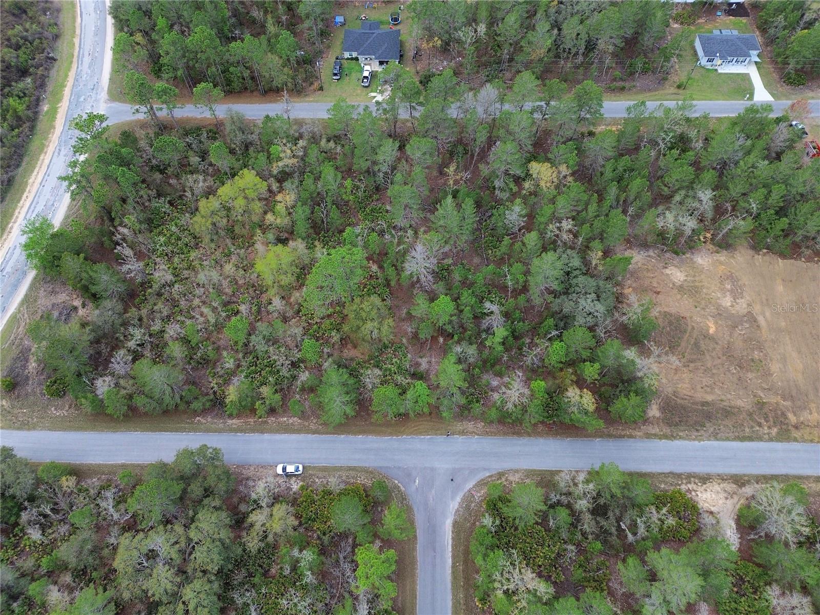 TBD MALAUKA LANE, OCKLAWAHA, FL, 32179