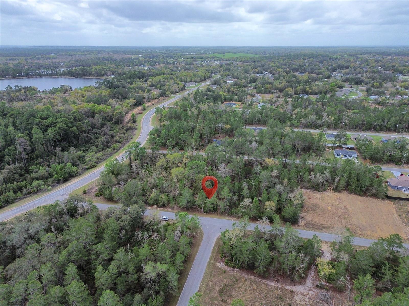 TBD MALAUKA LANE, OCKLAWAHA, FL, 32179