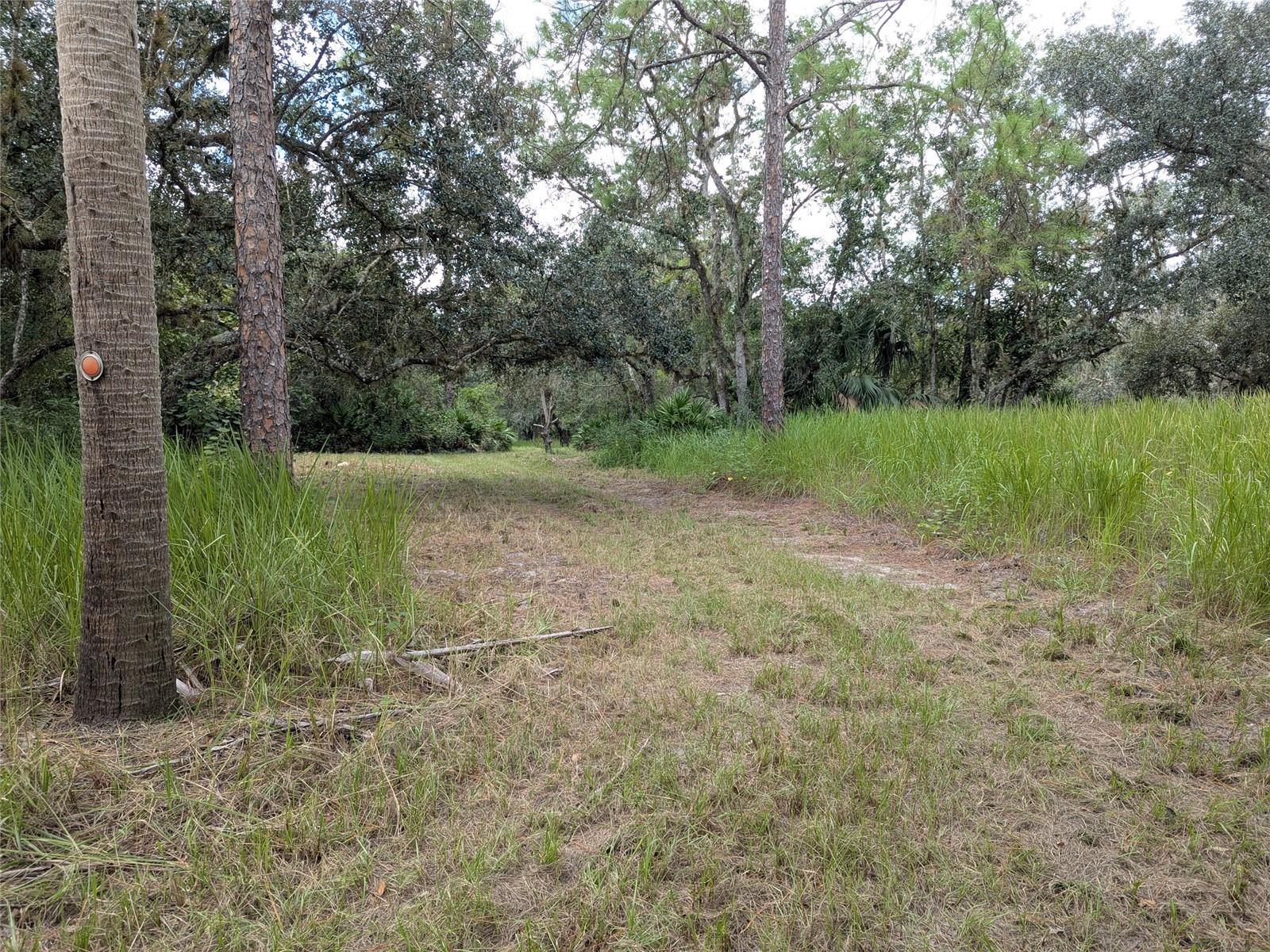 7062 CROOKED CREEK, ZOLFO SPRINGS, FL, 33890