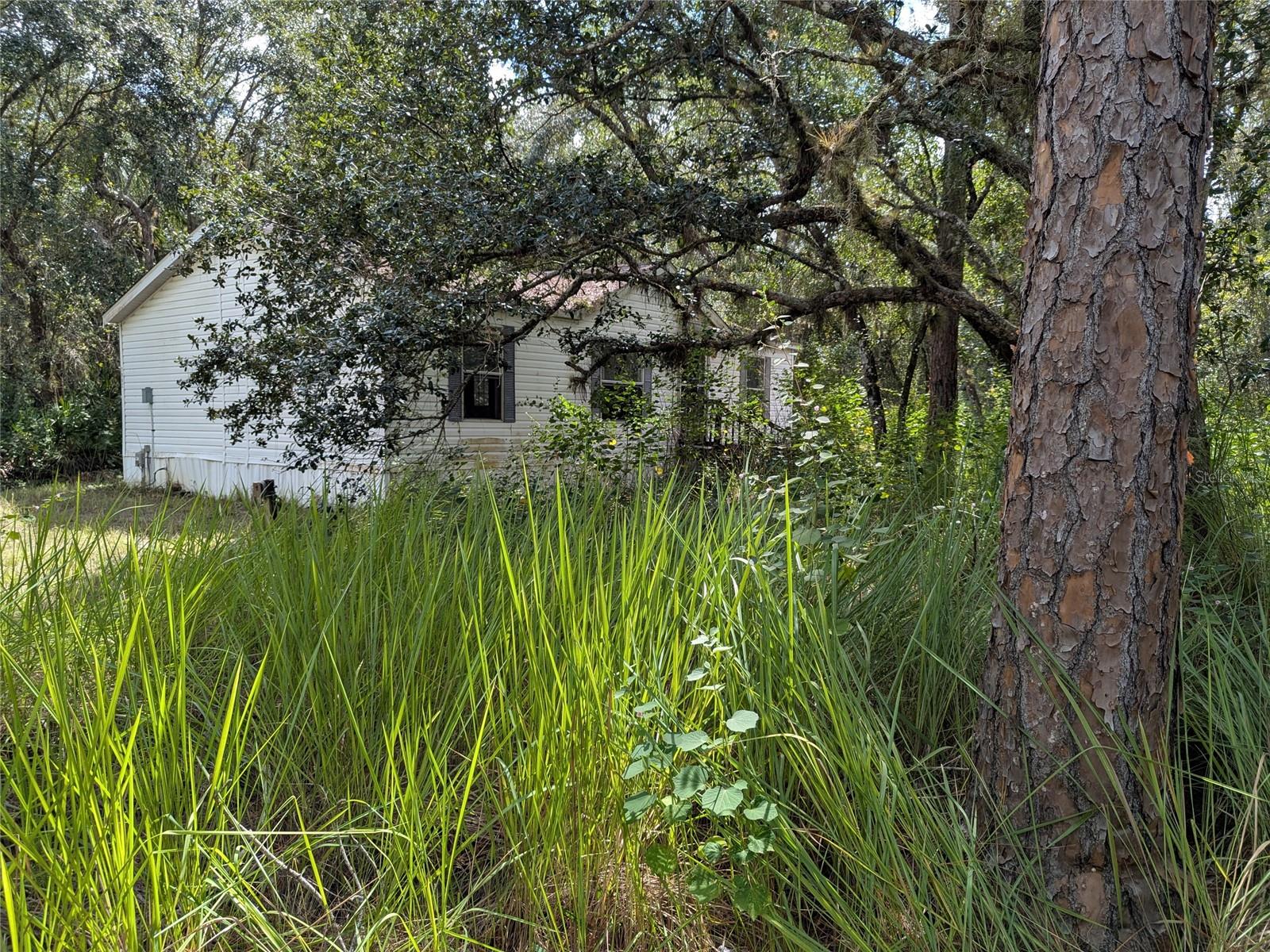 7062 CROOKED CREEK, ZOLFO SPRINGS, FL, 33890