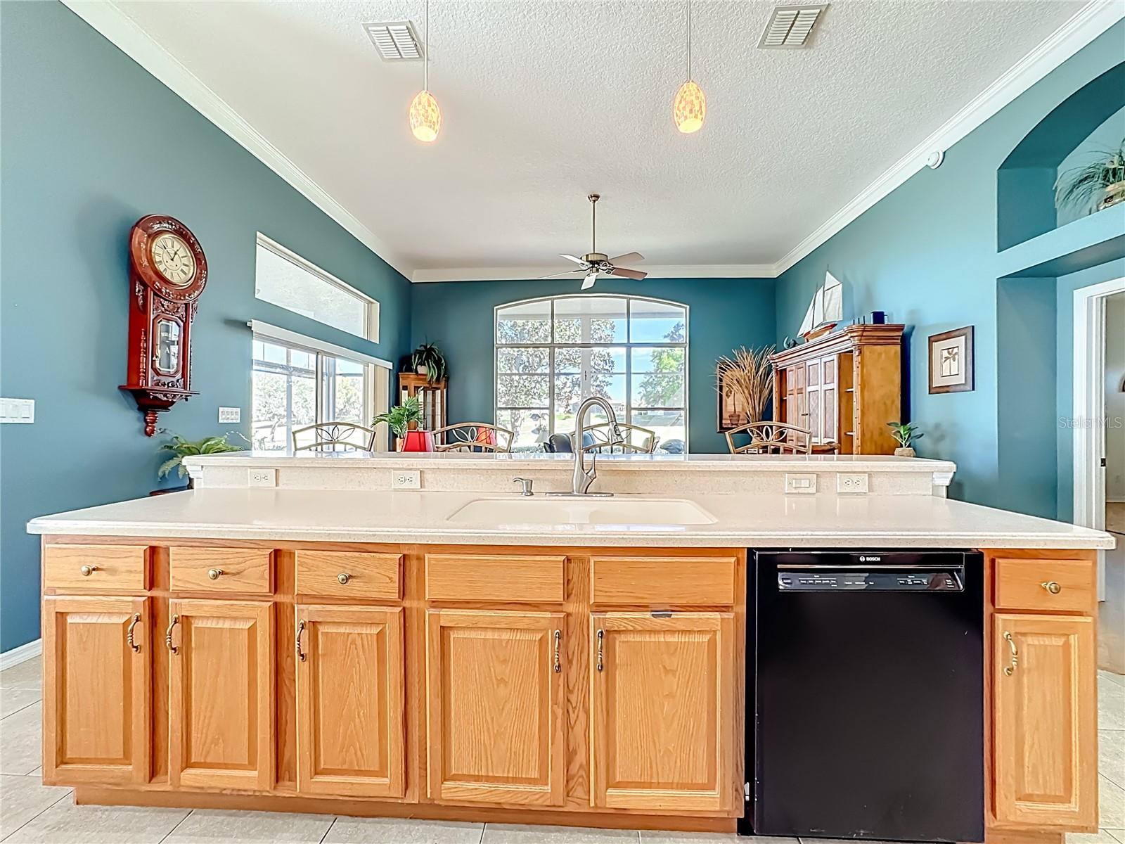 4919 LONG MEADOW DR, LEESBURG, FL, 34748