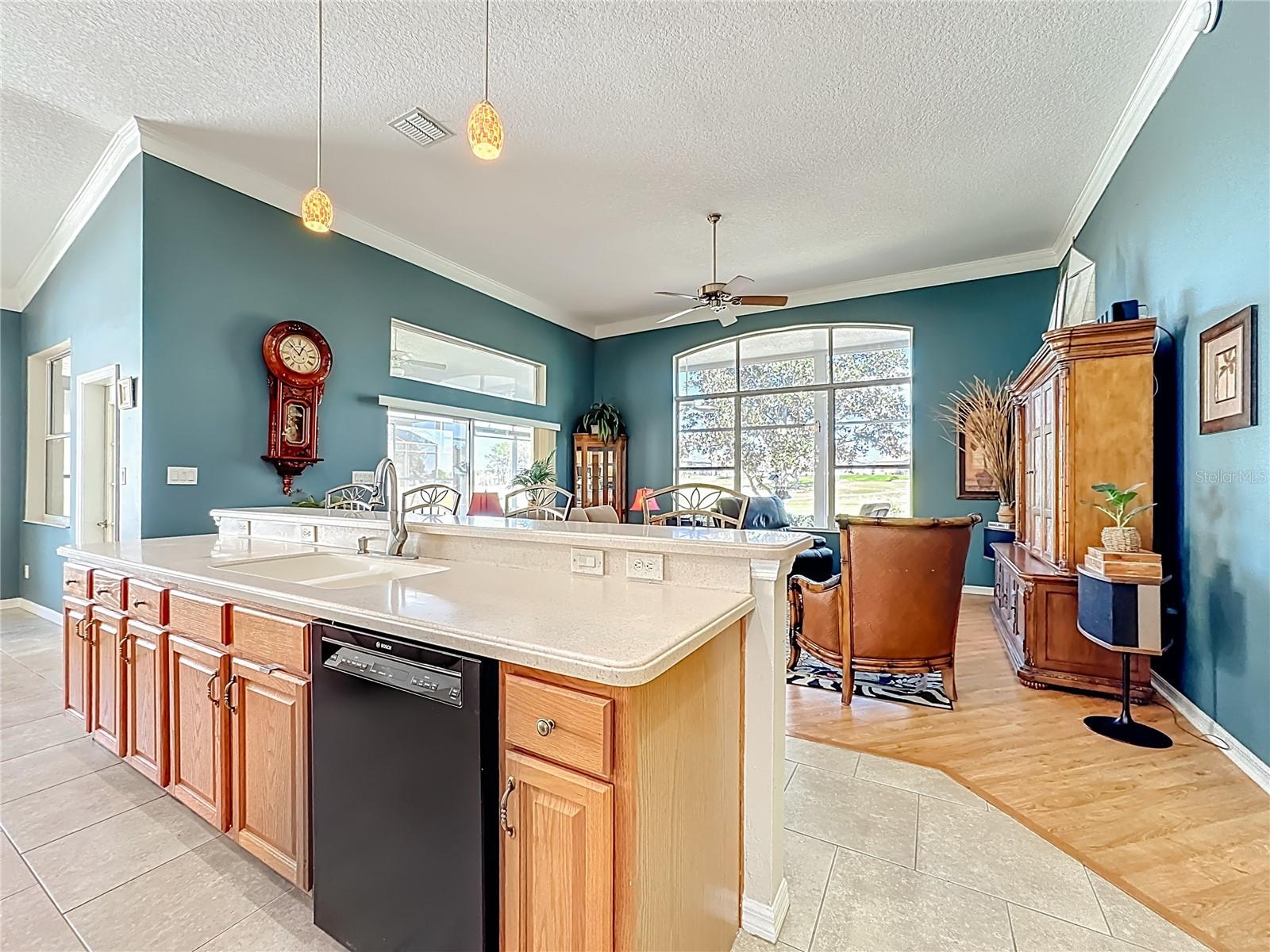 4919 LONG MEADOW DR, LEESBURG, FL, 34748