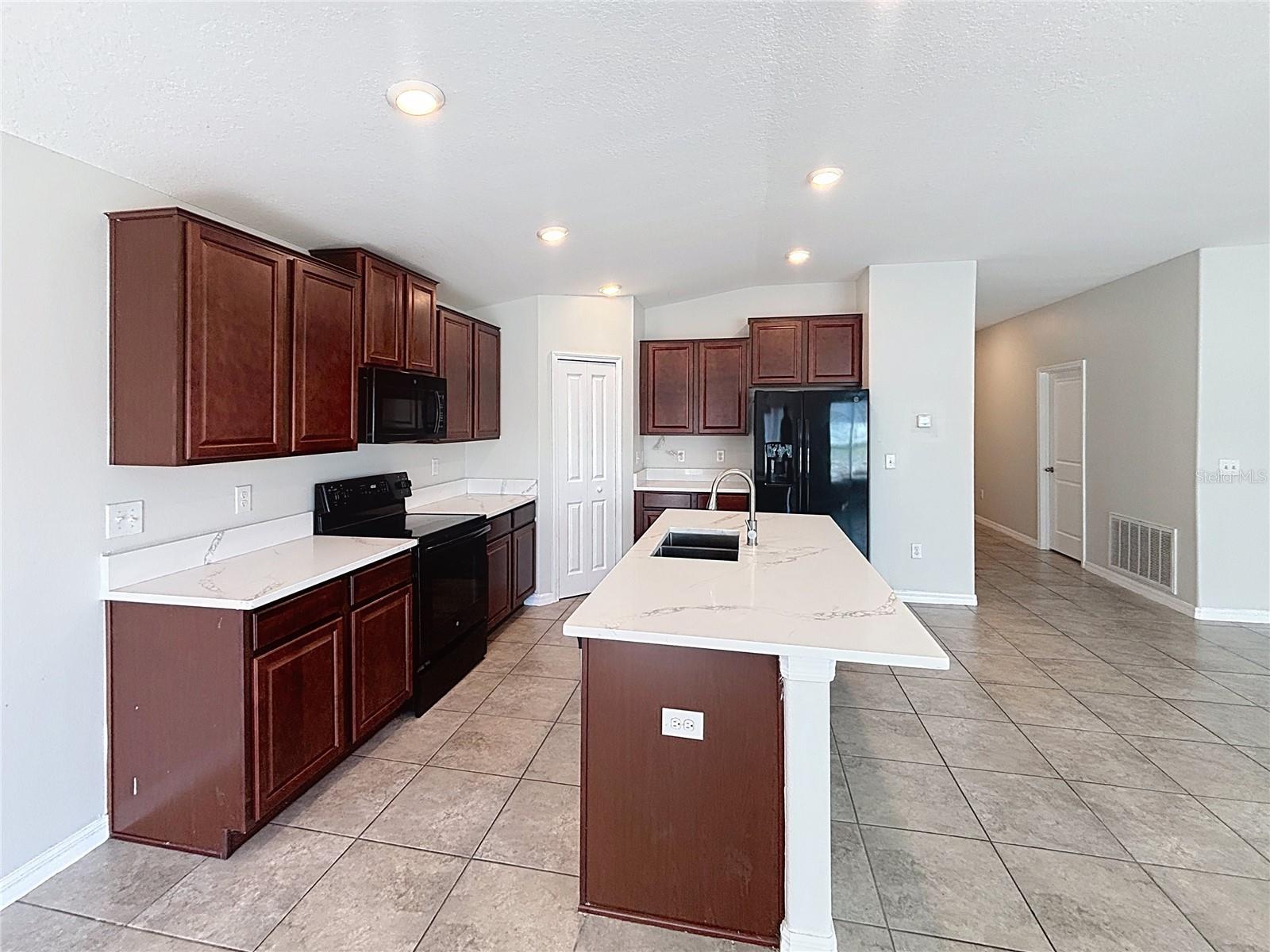 10241 STRAWBERRY TETRA DR, RIVERVIEW, FL, 33578