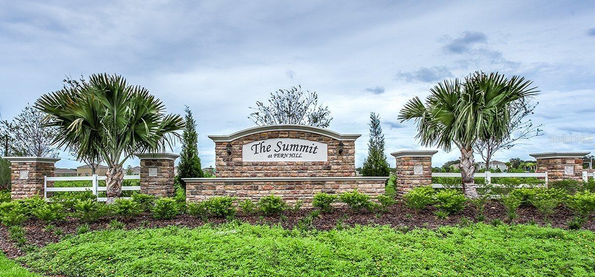 10241 STRAWBERRY TETRA DR, RIVERVIEW, FL, 33578
