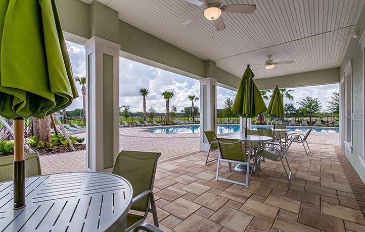 10241 STRAWBERRY TETRA DR, RIVERVIEW, FL, 33578