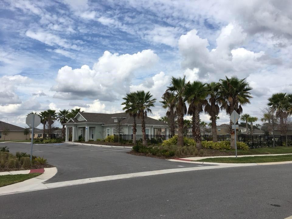 10241 STRAWBERRY TETRA DR, RIVERVIEW, FL, 33578