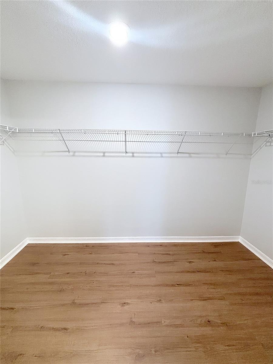 10241 STRAWBERRY TETRA DR, RIVERVIEW, FL, 33578