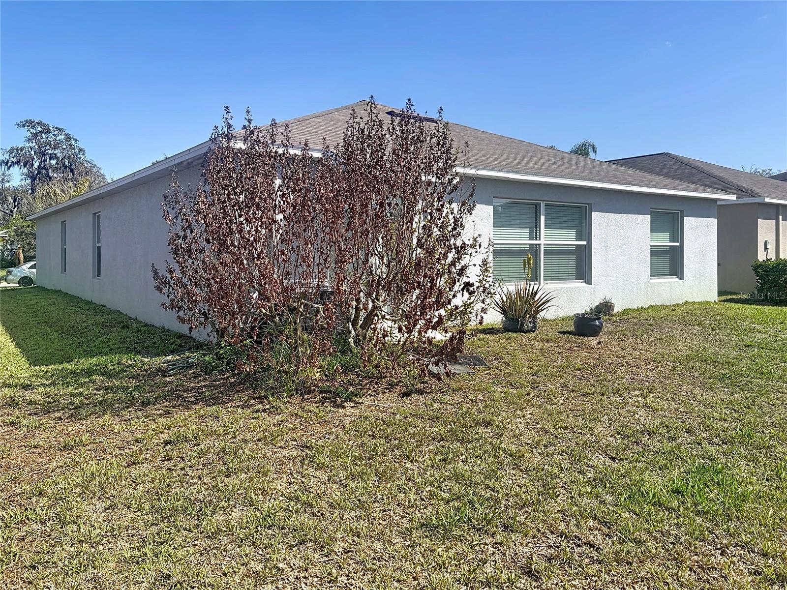 10241 STRAWBERRY TETRA DR, RIVERVIEW, FL, 33578