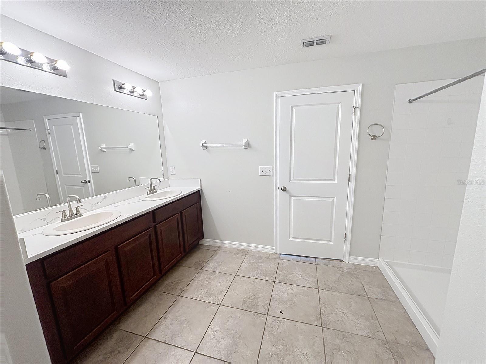 10241 STRAWBERRY TETRA DR, RIVERVIEW, FL, 33578