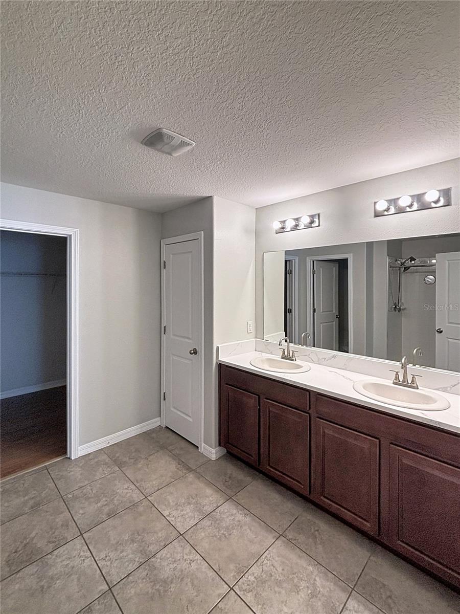 10241 STRAWBERRY TETRA DR, RIVERVIEW, FL, 33578
