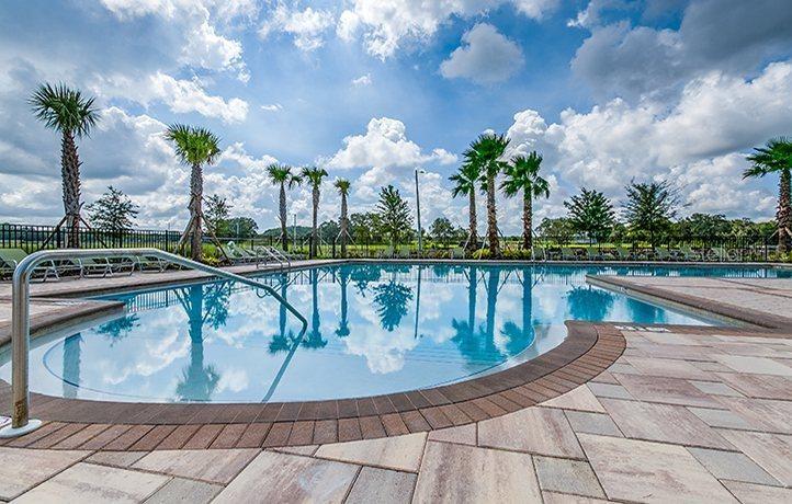 10241 STRAWBERRY TETRA DR, RIVERVIEW, FL, 33578