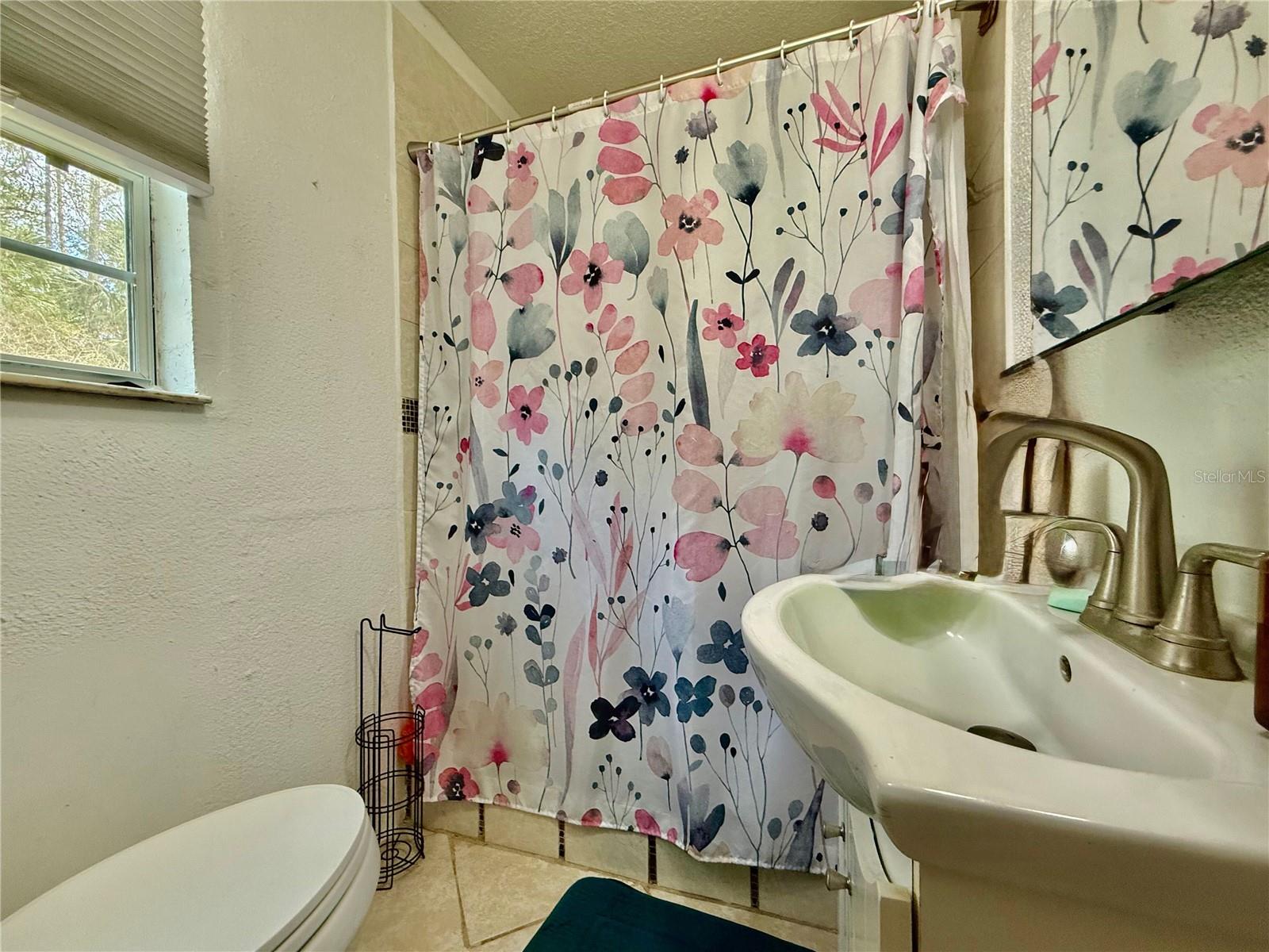 1363 EMPORIA RD, PIERSON, FL, 32180