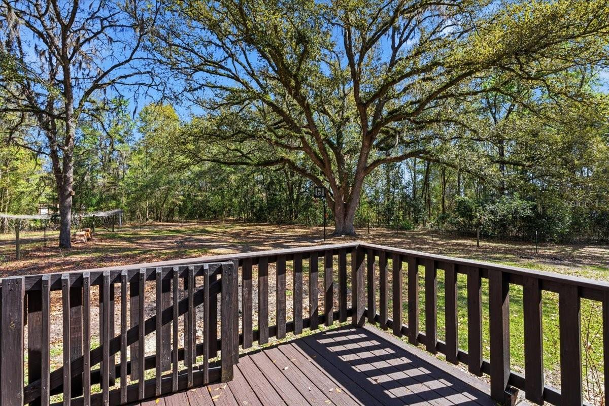 4049 NE 80TH AVE, HIGH SPRINGS, FL, 32643
