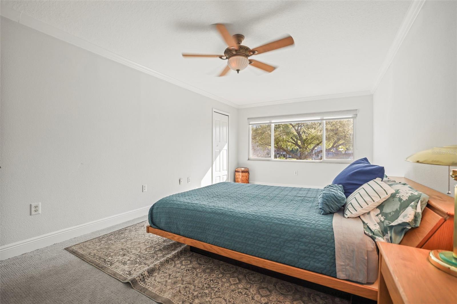 950 BROADWAY #205, DUNEDIN, FL, 34698