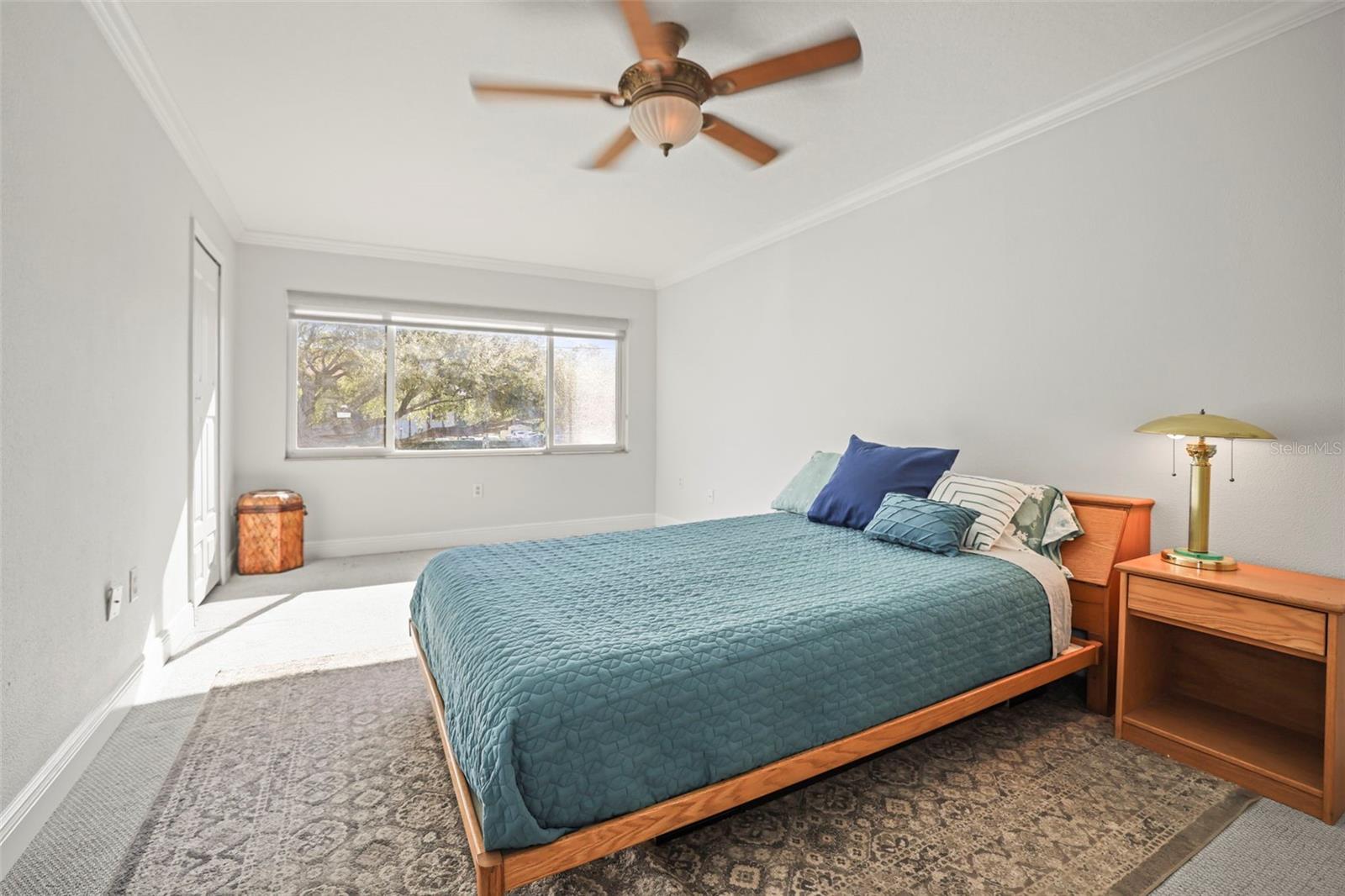 950 BROADWAY #205, DUNEDIN, FL, 34698