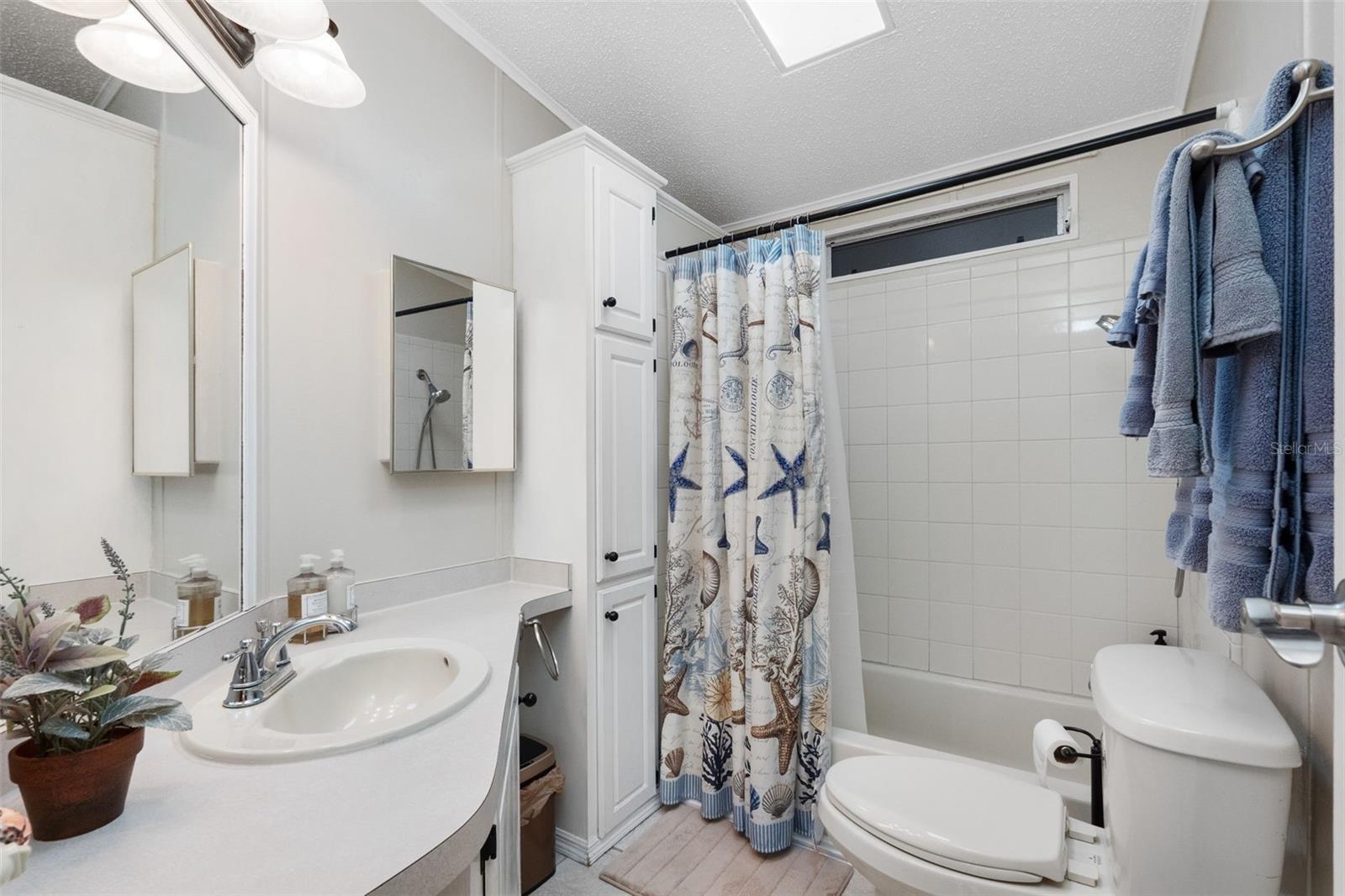 223 DOLPHIN DR N, OLDSMAR, FL, 34677
