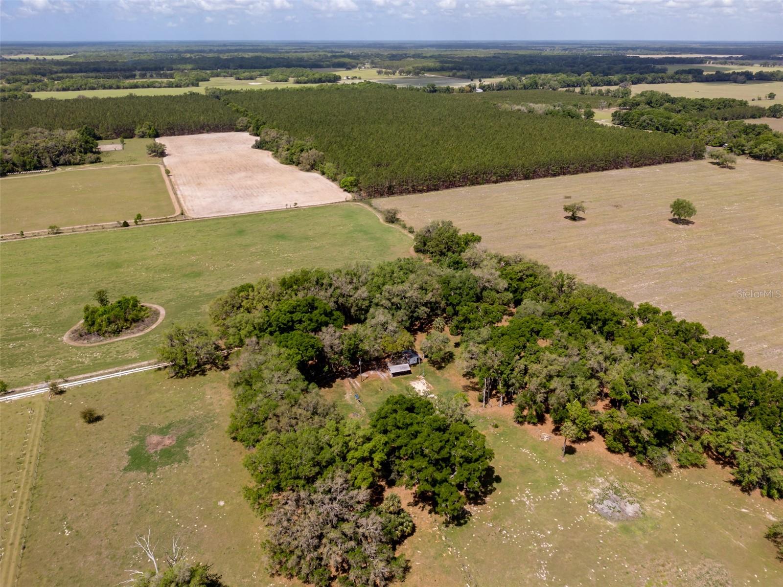 4351 NW 76TH CT, CHIEFLAND, FL, 32626