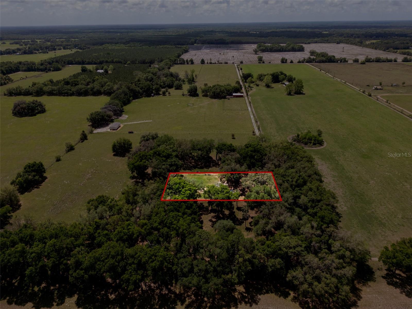 4351 NW 76TH CT, CHIEFLAND, FL, 32626