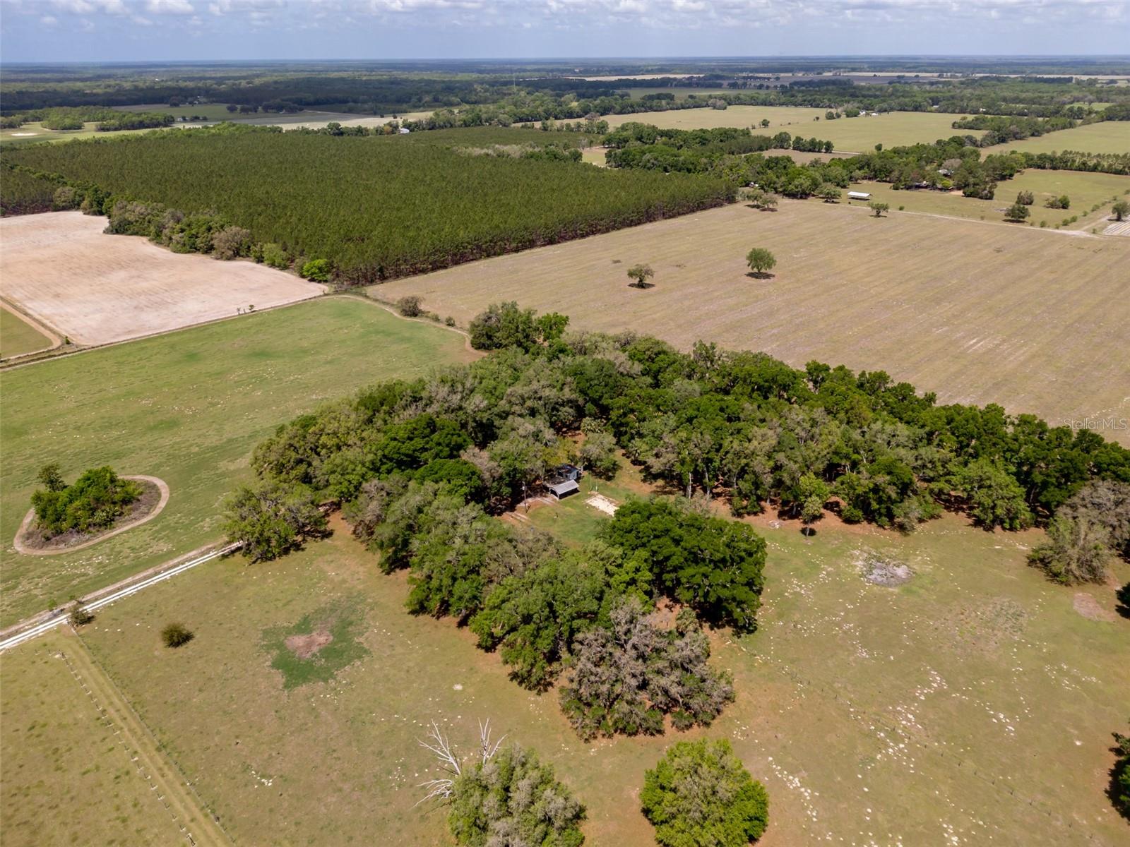 4351 NW 76TH CT, CHIEFLAND, FL, 32626