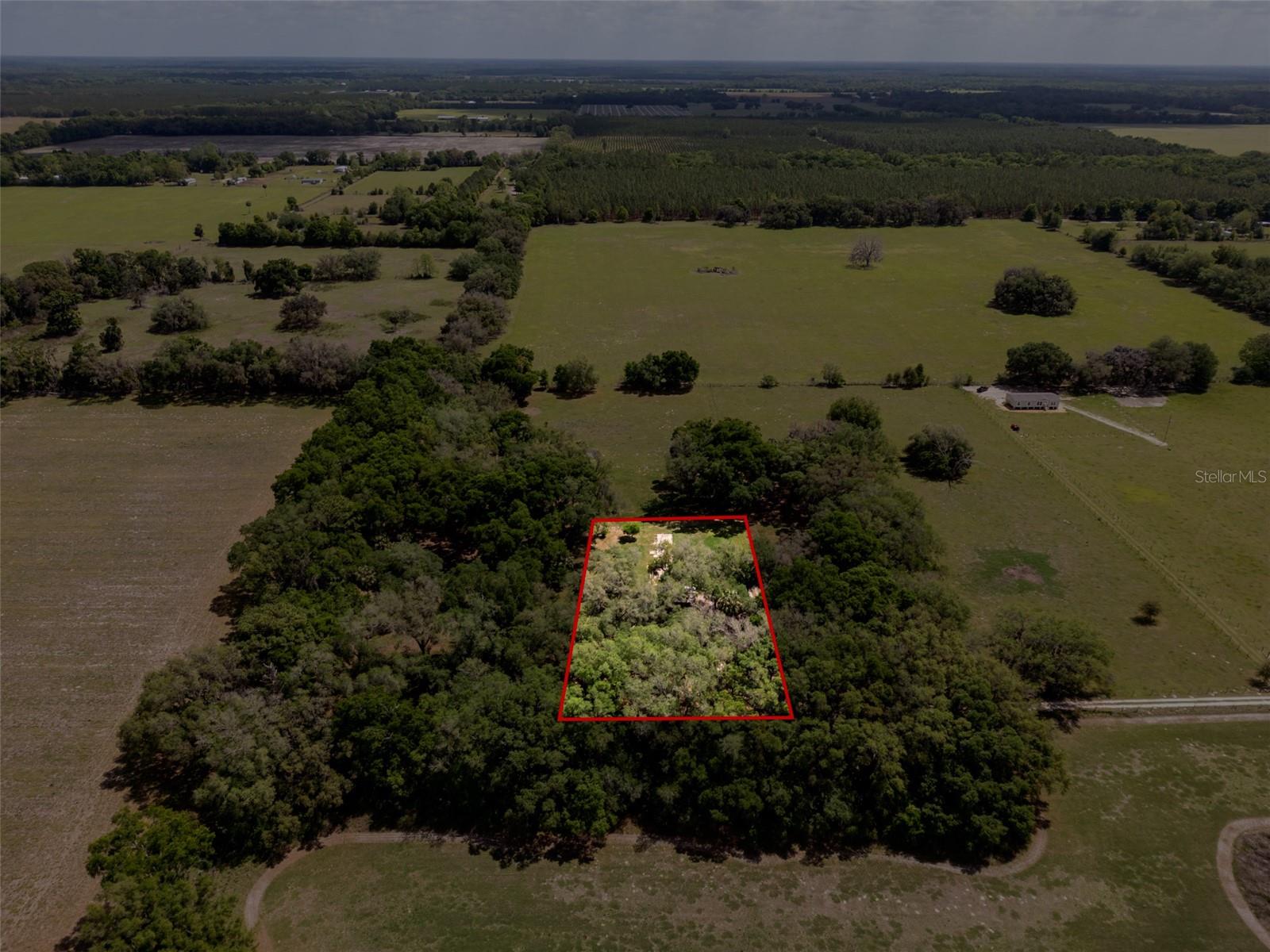 4351 NW 76TH CT, CHIEFLAND, FL, 32626