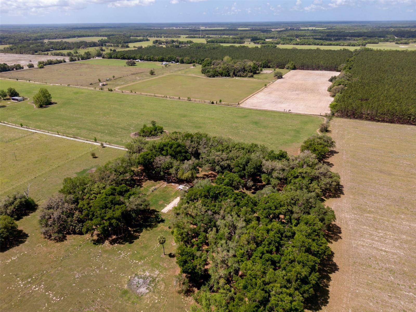 4351 NW 76TH CT, CHIEFLAND, FL, 32626