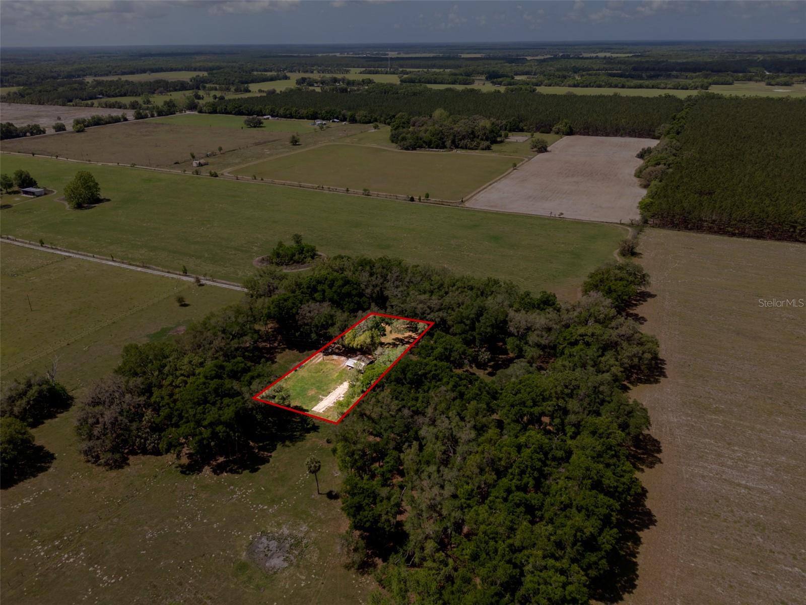 4351 NW 76TH CT, CHIEFLAND, FL, 32626
