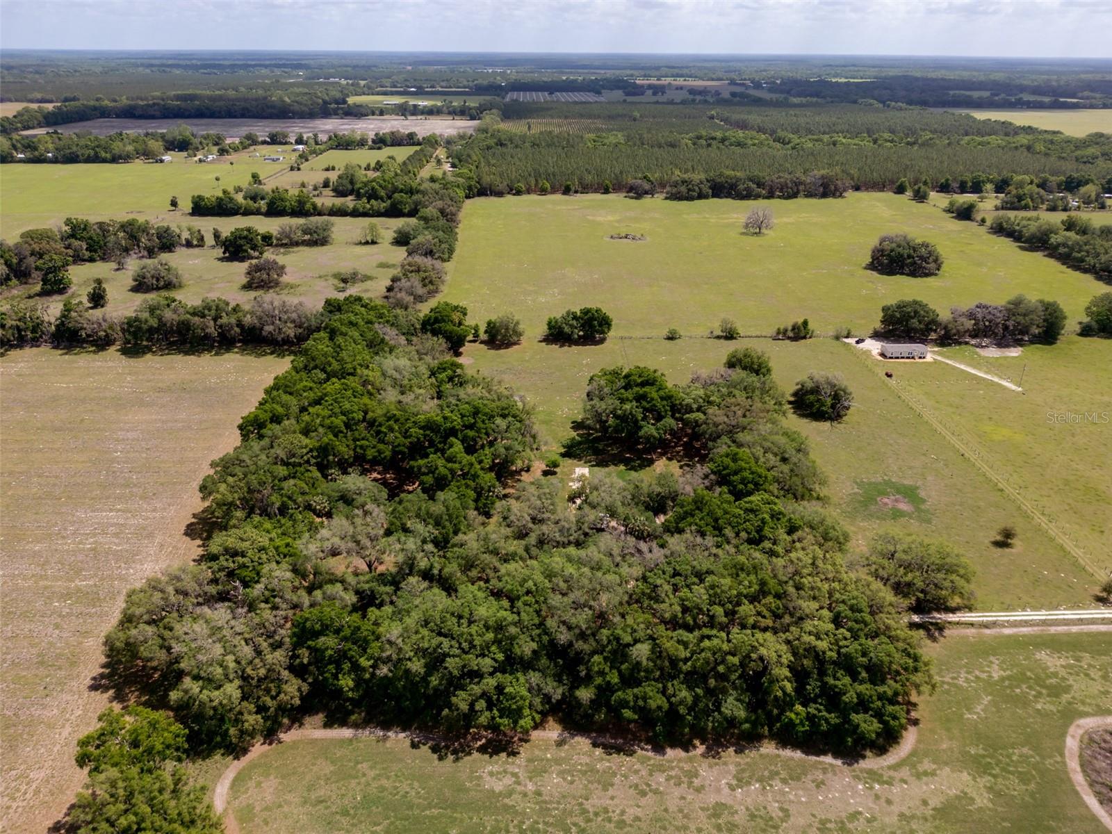 4351 NW 76TH CT, CHIEFLAND, FL, 32626