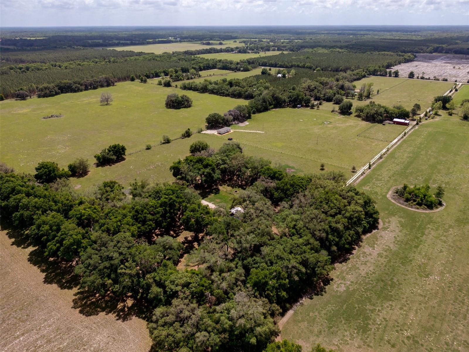 4351 NW 76TH CT, CHIEFLAND, FL, 32626