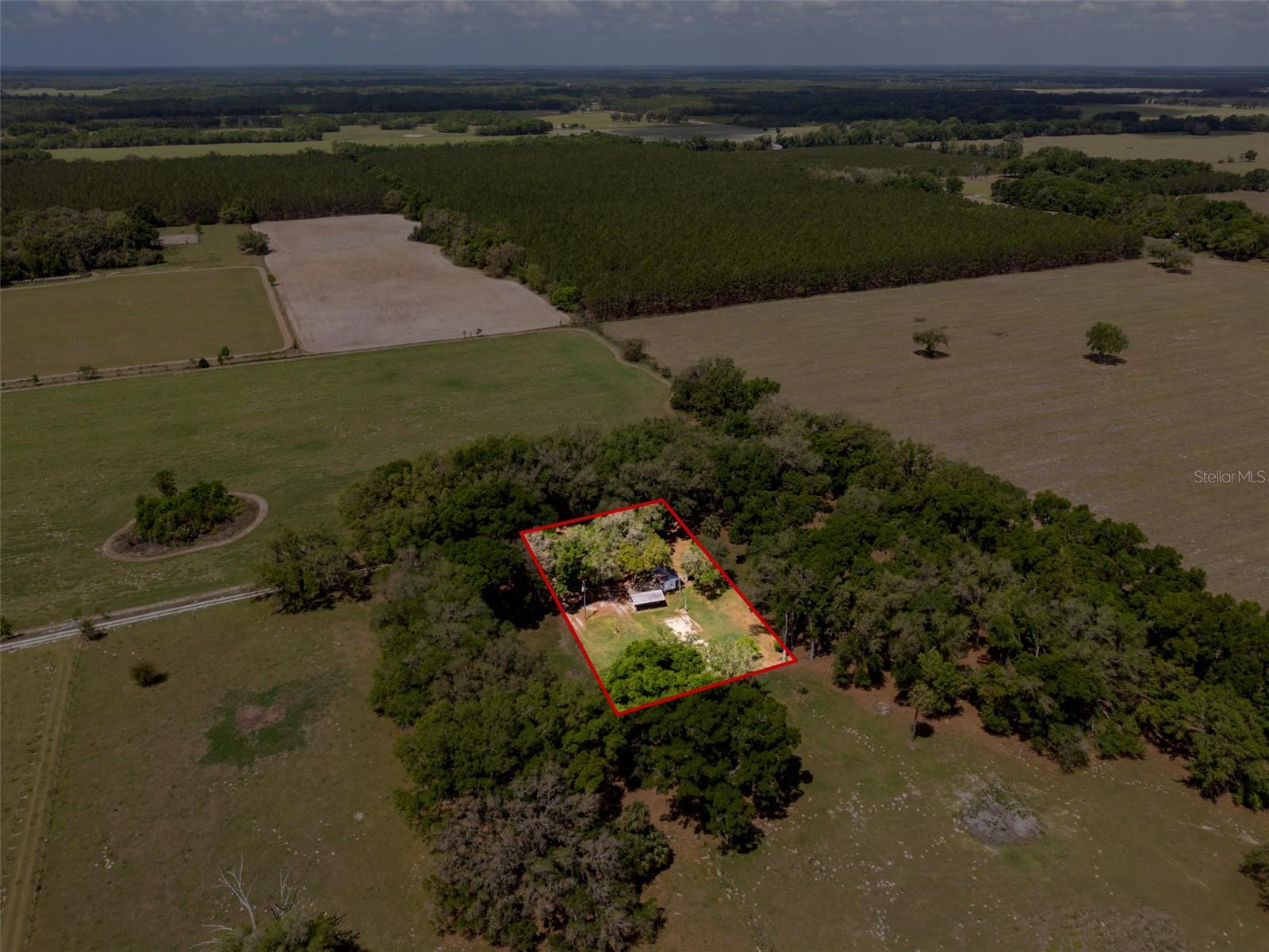 4351 NW 76TH CT, CHIEFLAND, FL, 32626