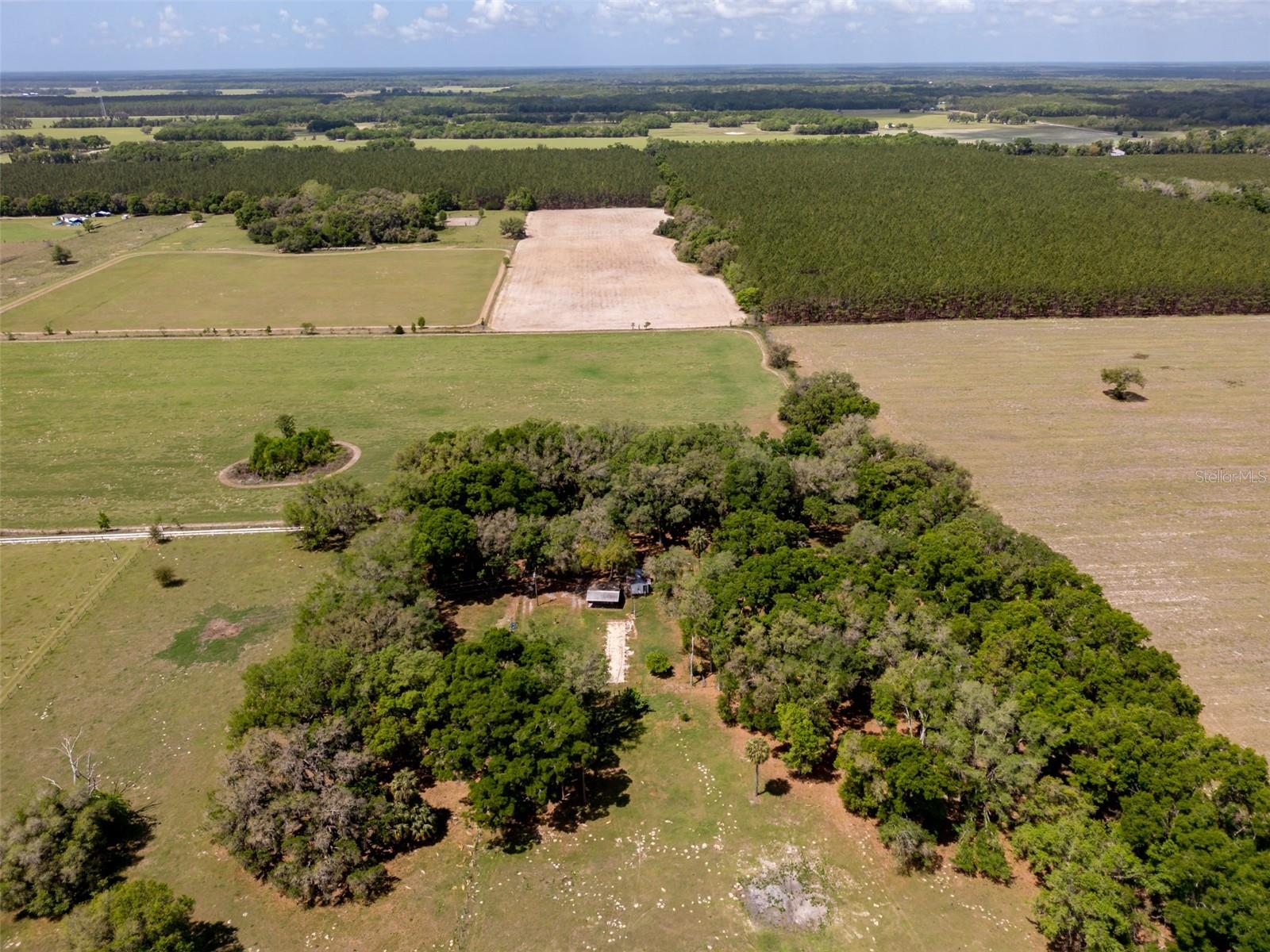4351 NW 76TH CT, CHIEFLAND, FL, 32626
