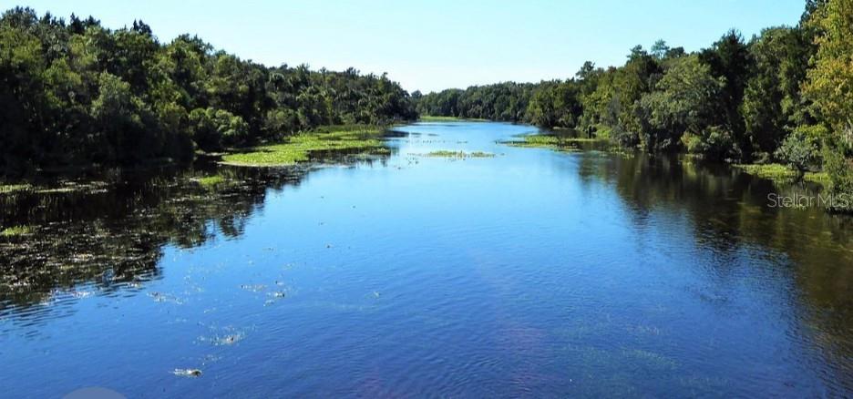 15594 NE 233RD PL, FORT MC COY, FL, 32134