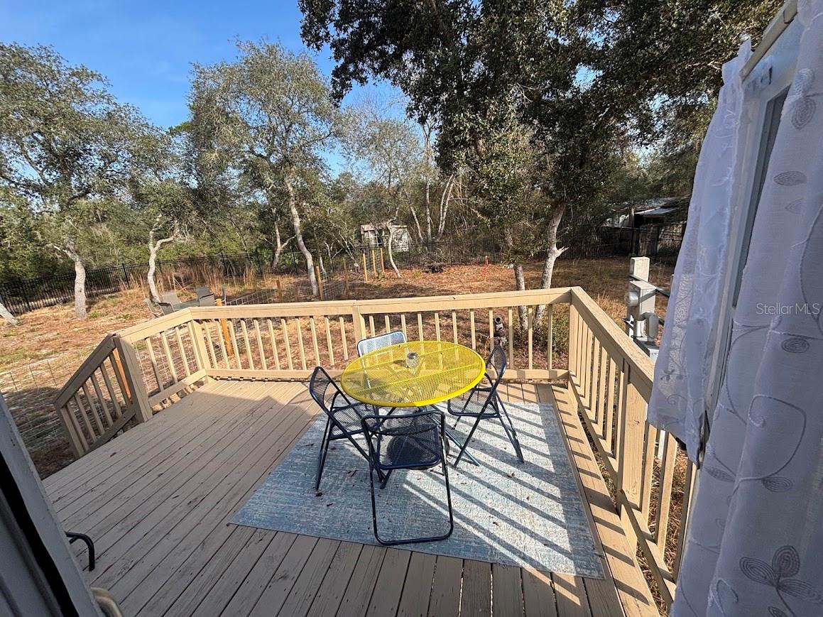 15594 NE 233RD PL, FORT MC COY, FL, 32134