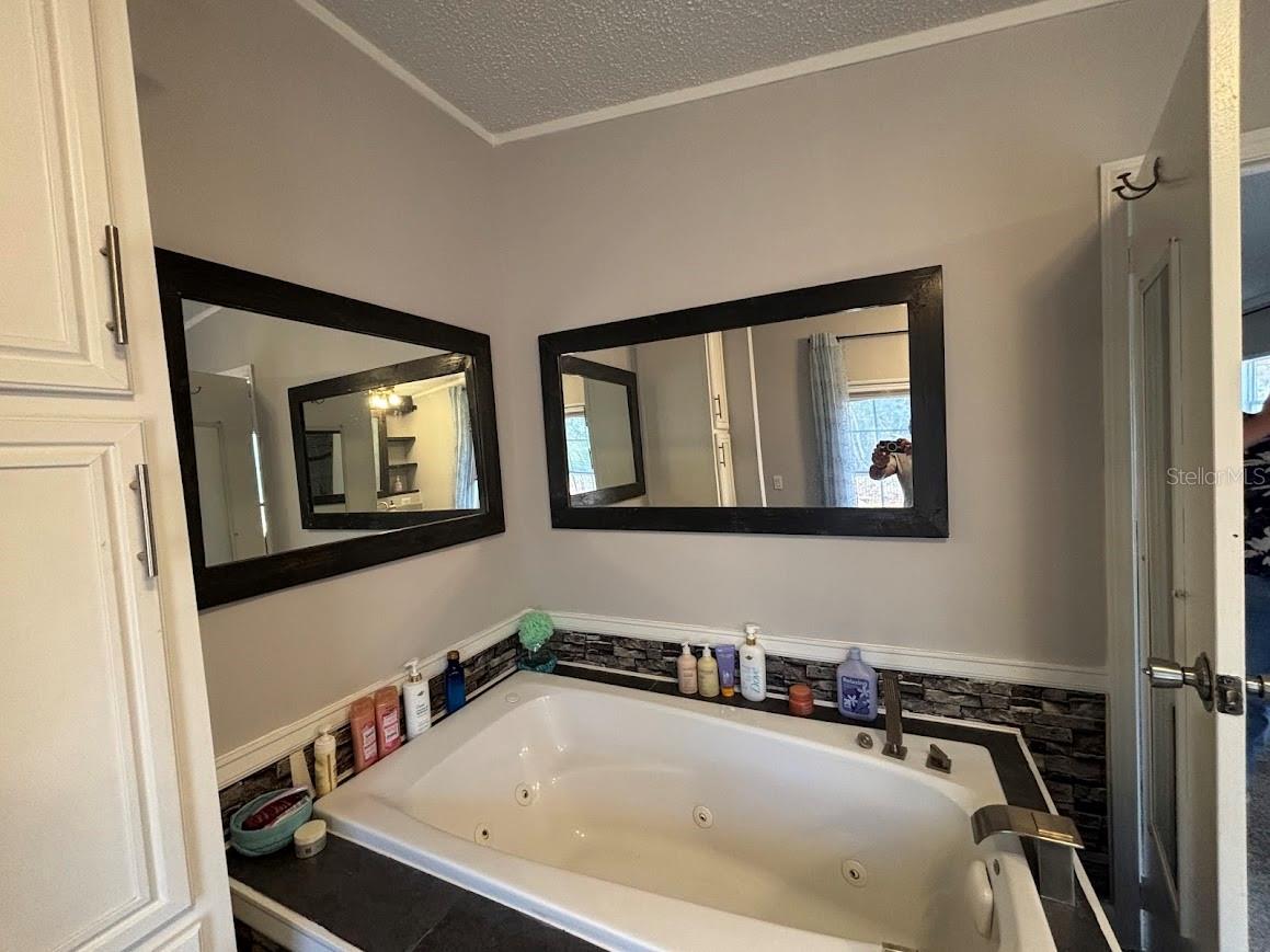15594 NE 233RD PL, FORT MC COY, FL, 32134