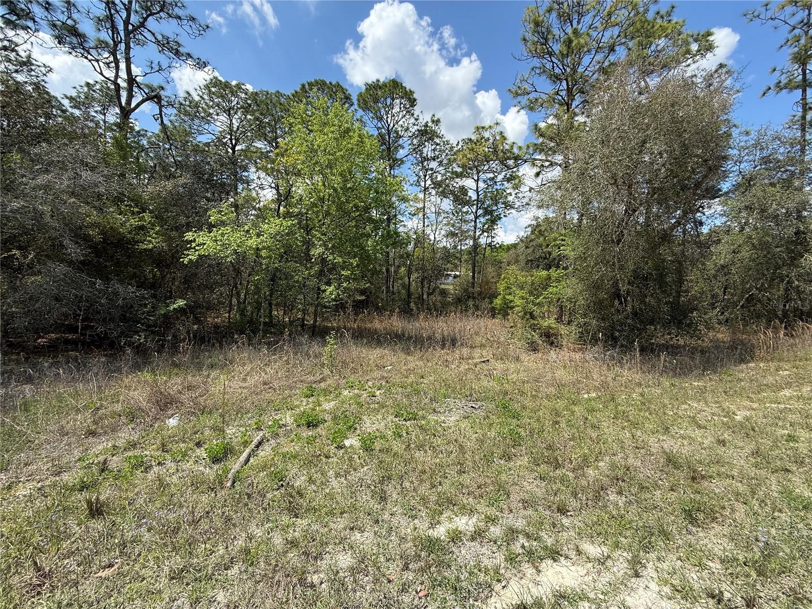 TBD SE 150TH AVE, MORRISTON, FL, 32668