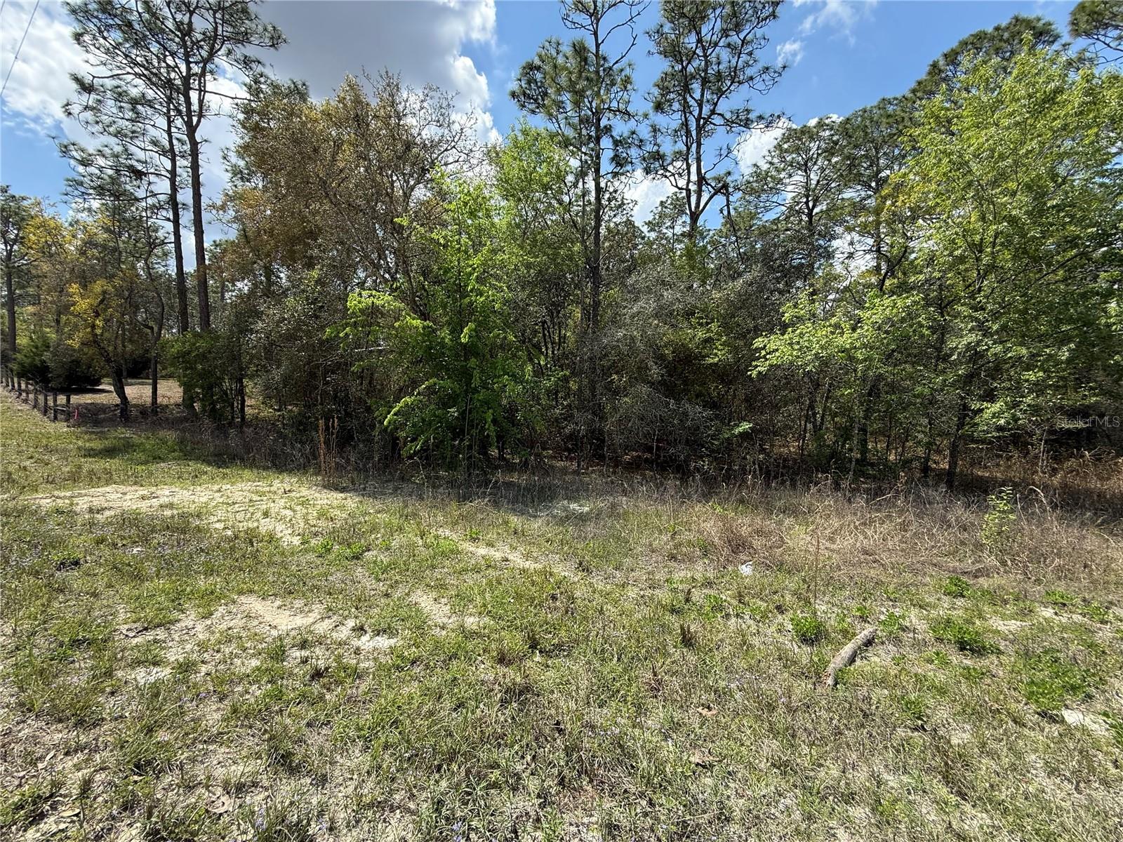 TBD SE 150TH AVE, MORRISTON, FL, 32668