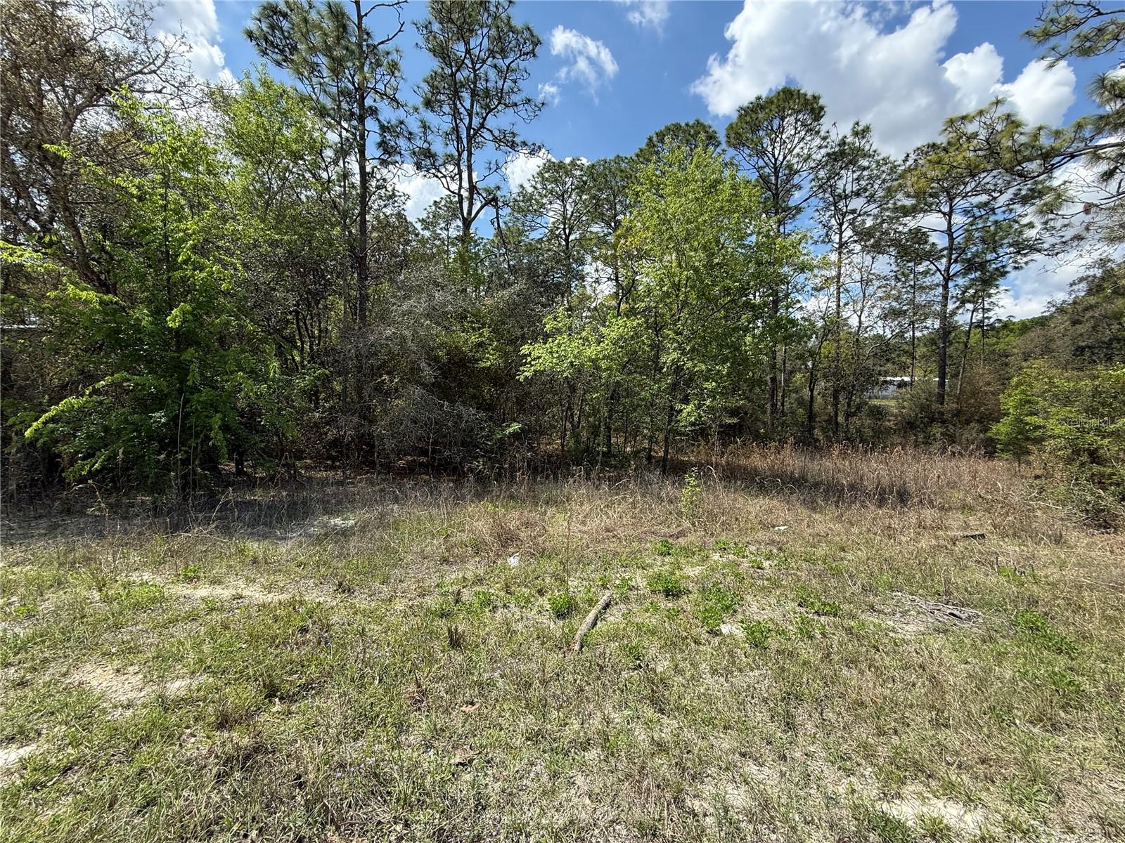 TBD SE 150TH AVE, MORRISTON, FL, 32668