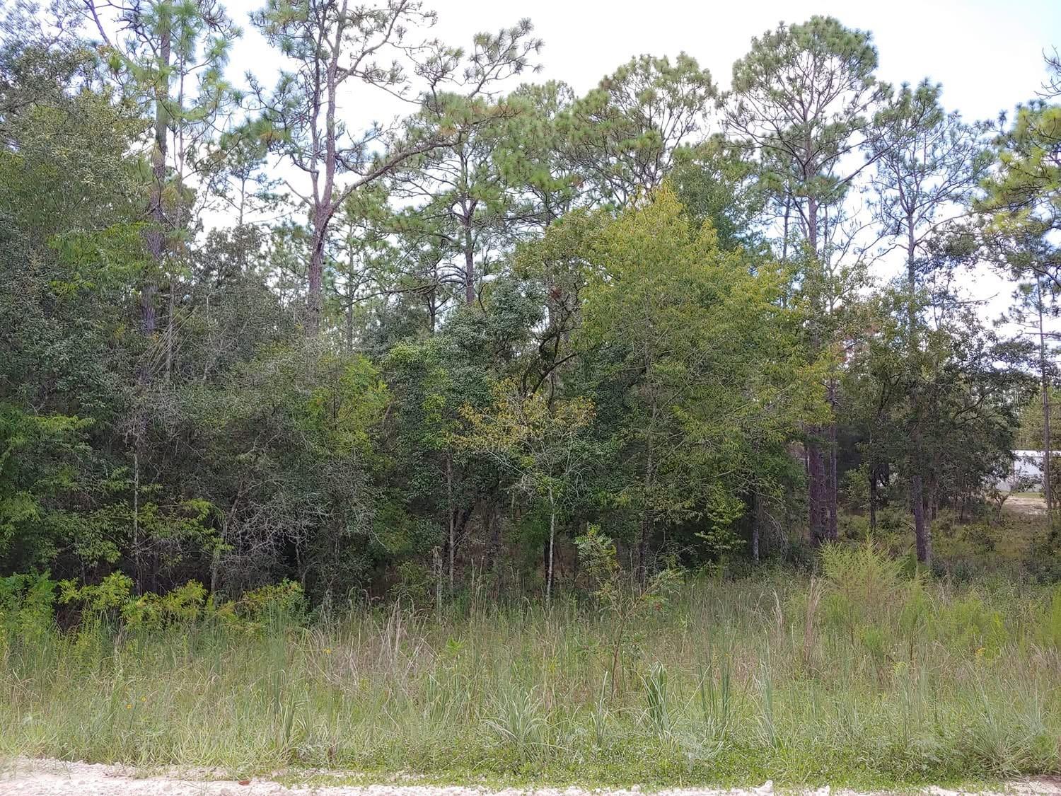 TBD SE 150TH AVE, MORRISTON, FL, 32668