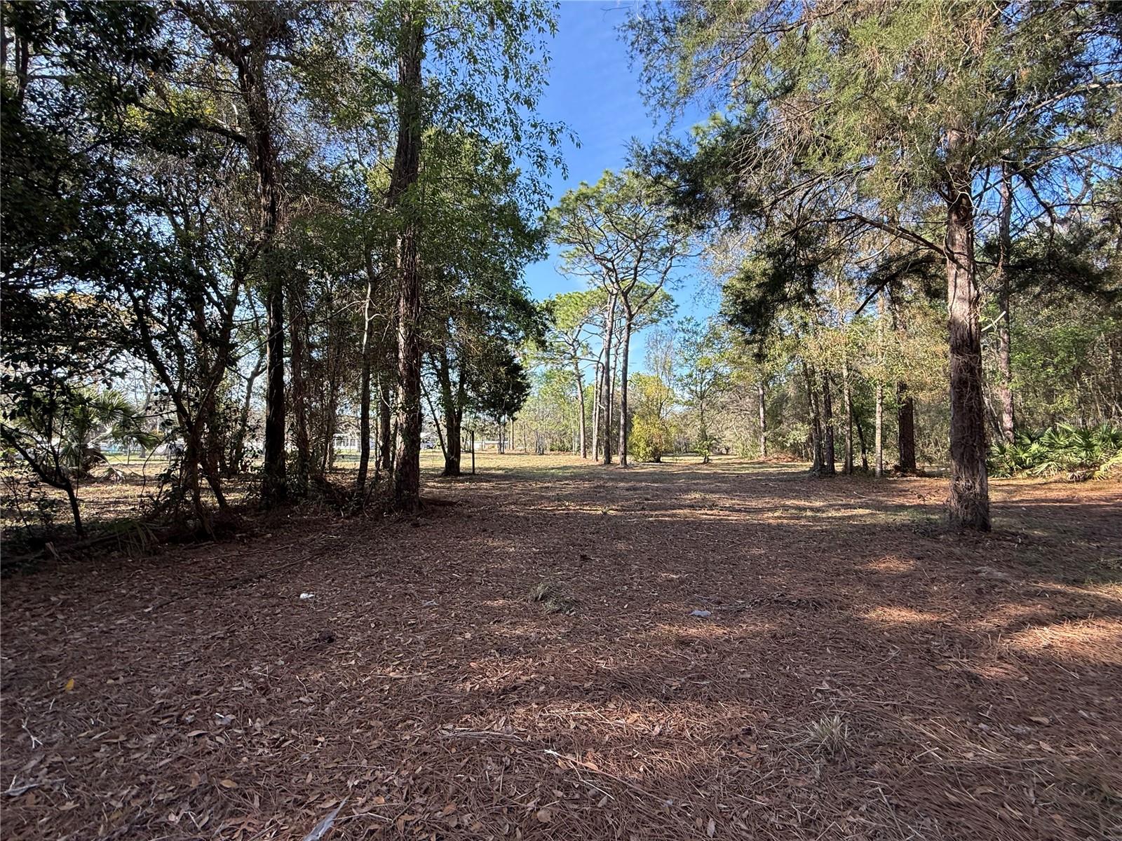 6479 W HOLIDAY ST, HOMOSASSA, FL, 34446