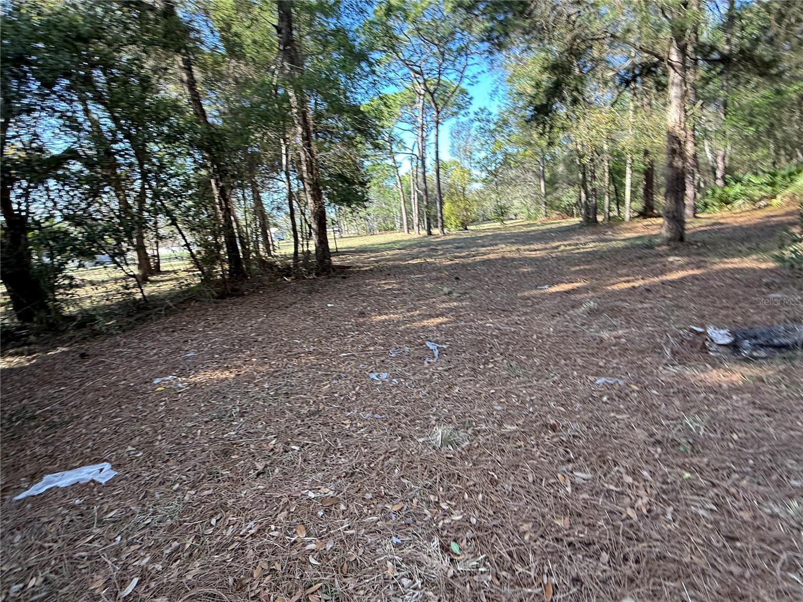 6479 W HOLIDAY ST, HOMOSASSA, FL, 34446