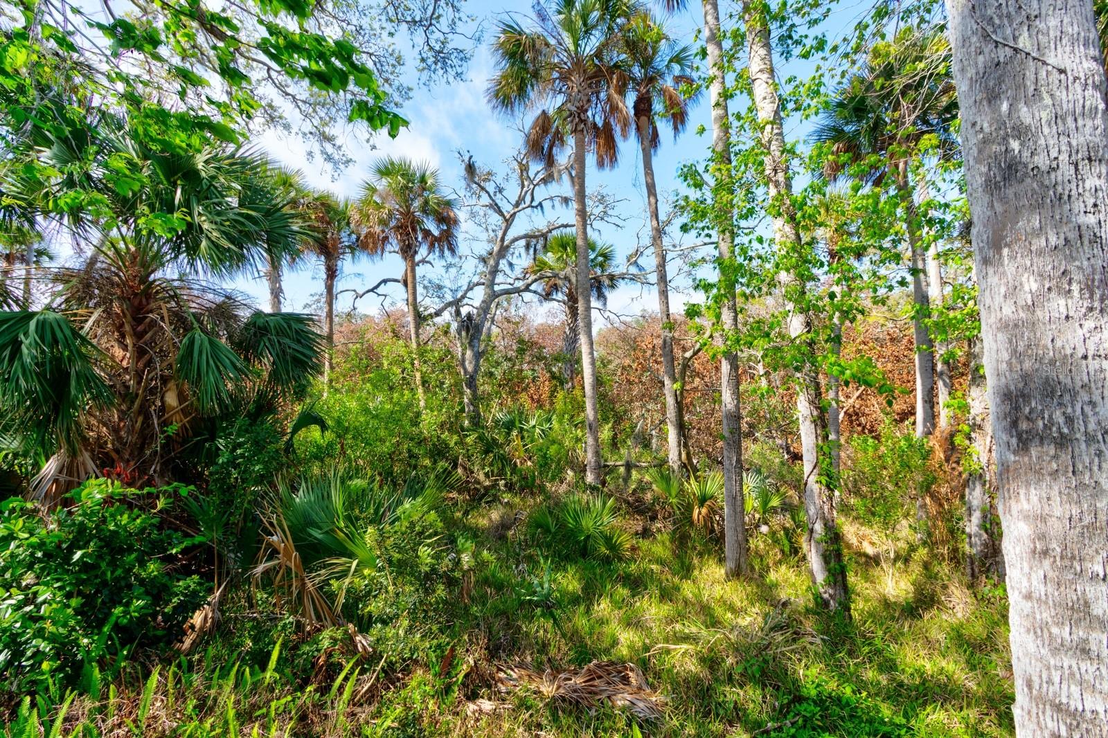 1508 SAXON DR, NEW SMYRNA BEACH, FL, 32169