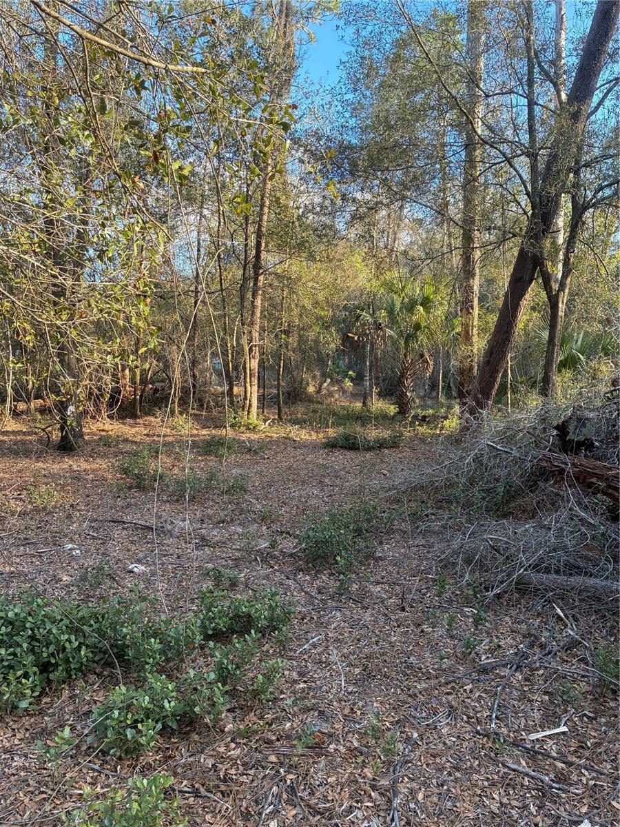 G58 OLD DEER RD, PAISLEY, FL, 32767