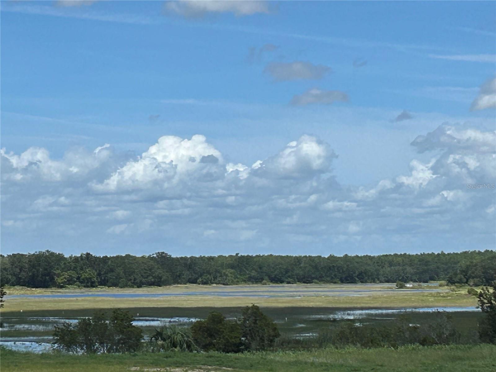 24546 HODGES RESERVE AVE, HOWEY IN THE HILLS, FL, 34737