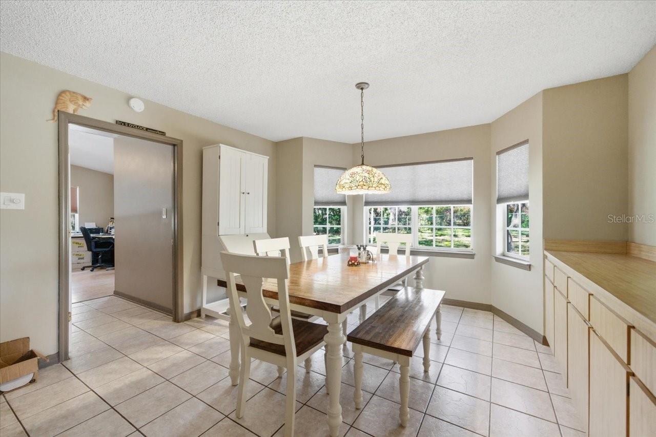 10331 CASEY DR, NEW PORT RICHEY, FL, 34654