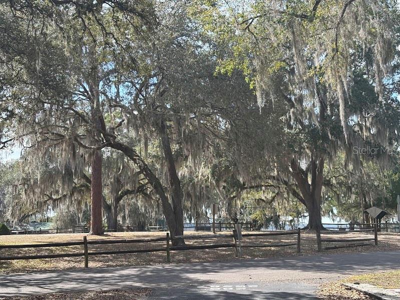 25287 NE 139TH LN #286, SALT SPRINGS, FL, 32134